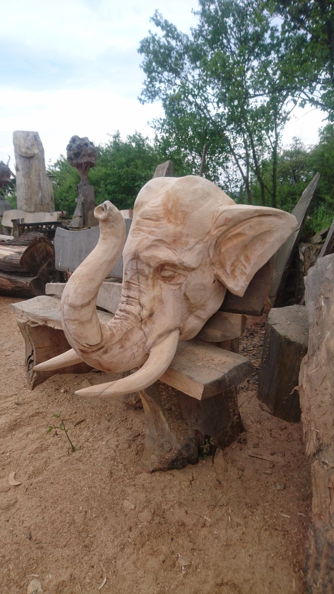 Geschnitzte Figur aus Lindenholz | Ein Elefantenschädel auf einer Bank mit Blick auf die Linke Seite