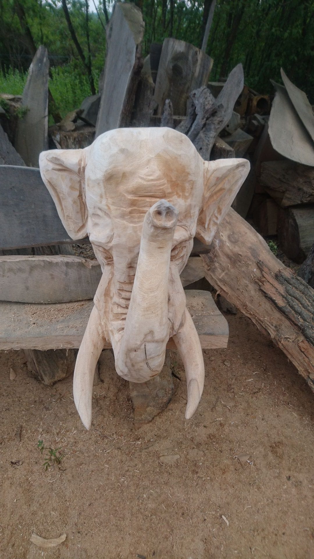 Geschnitzte Figur aus Lindenholz | Ein Elefantenschädel auf einer Bank mit Blick auf die Vorderseite